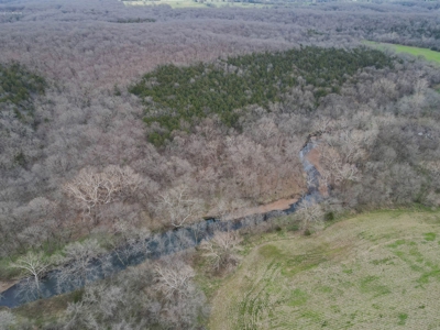 Land for Sale Osceola, MO - image 44