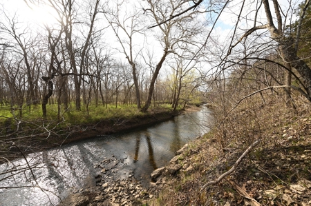 Land for Sale Osceola, MO - image 30