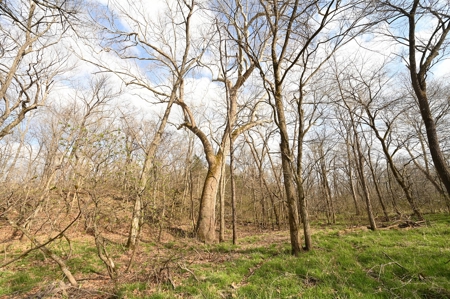 Land for Sale Osceola, MO - image 24