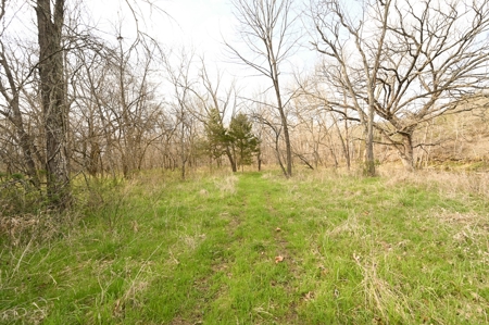 Land for Sale Osceola, MO - image 19
