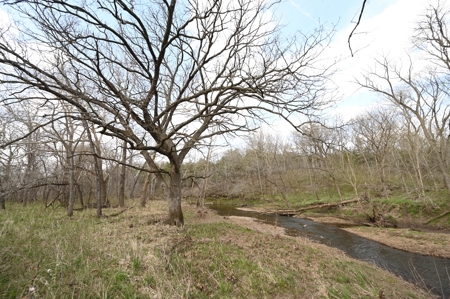 Land for Sale Osceola, MO - image 20