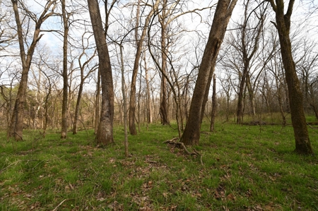 Land for Sale Osceola, MO - image 38