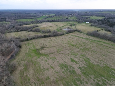 Land for Sale Osceola, MO - image 42