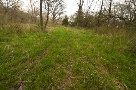 Land for Sale Osceola, MO - image 39