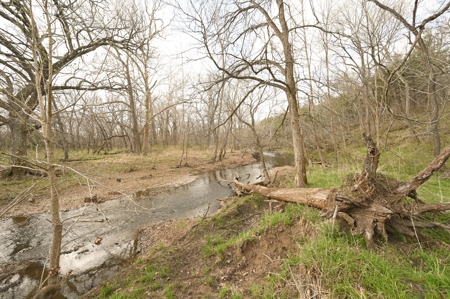 Land for Sale Osceola, MO - image 23