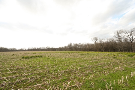 Land for Sale Osceola, MO - image 40