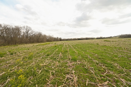 Land for Sale Osceola, MO - image 41