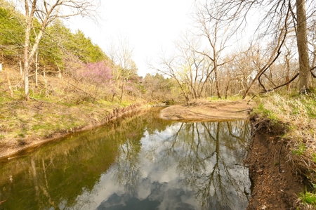 Land for Sale Osceola, MO - image 36