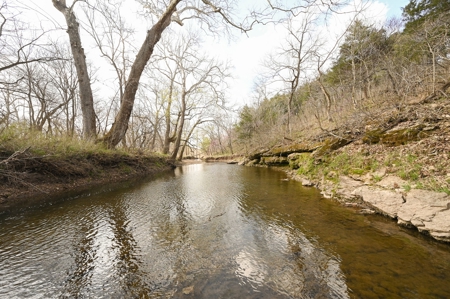 Land for Sale Osceola, MO - image 31