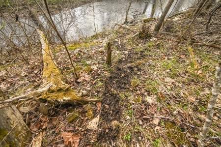 Land for Sale Osceola, MO - image 29