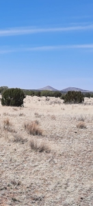 Beautiful Property - image 4
