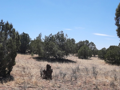 Beautiful Property - image 10