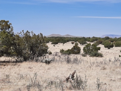 Beautiful Property - image 6