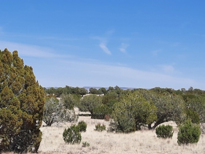Beautiful Property - image 7