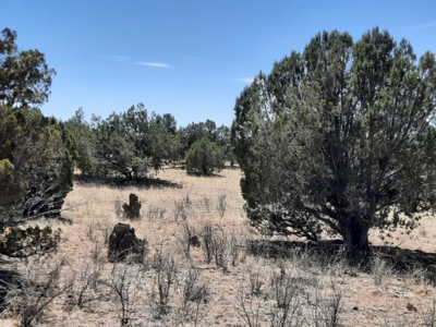 Beautiful Property - image 1
