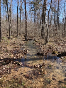 Land for sale near Piedmont Missouri - image 7