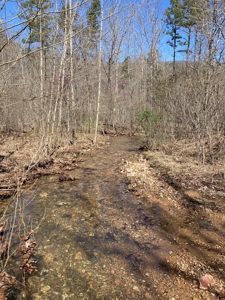 Land for sale near Piedmont Missouri - image 6