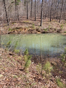 Land for sale near Piedmont Missouri - image 22