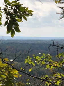 Land for sale near Piedmont Missouri - image 28
