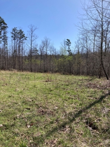 Land for sale near Piedmont Missouri - image 9