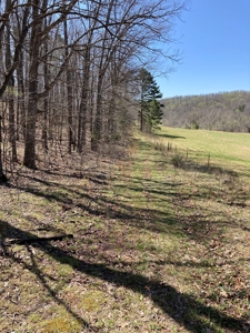 Land for sale near Piedmont Missouri - image 26