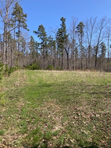 Land for sale near Piedmont Missouri - image 8