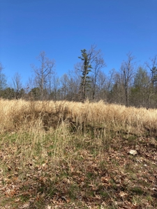 Land for sale near Piedmont Missouri - image 18