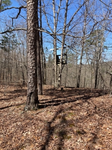 Land for sale near Piedmont Missouri - image 24