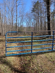 Land for sale near Piedmont Missouri - image 1