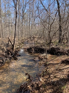 Land for sale near Piedmont Missouri - image 5