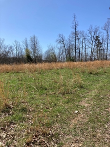 Land for sale near Piedmont Missouri - image 16