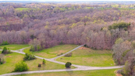 Building Lot near Dale Hollow Lake in Albany, KY - image 31