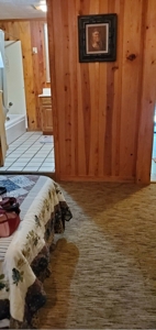 Investment Lodge Home For Sale in Newton County, Ar - image 36