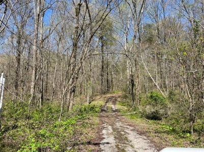 Property for sale near Dale Hollow Lake in Albany, KY - image 2