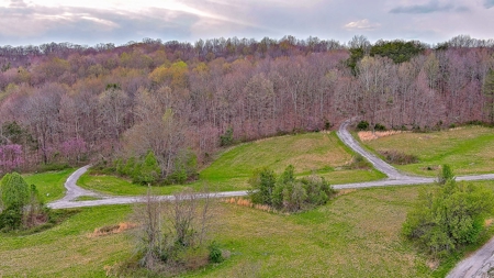 Property for sale near Dale Hollow Lake in Albany, KY - image 8