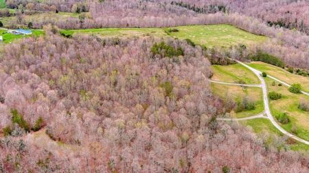 Property for sale near Dale Hollow Lake in Albany, KY - image 11