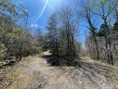 Property for sale near Dale Hollow Lake in Albany, KY - image 3
