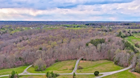 Property for sale near Dale Hollow Lake in Albany, KY - image 28