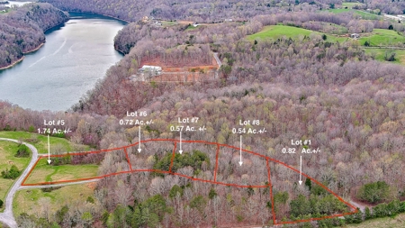 Property for sale near Dale Hollow Lake in Albany, KY - image 22