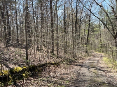 Property for sale near Dale Hollow Lake in Albany, KY - image 5