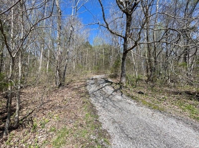 Property for sale near Dale Hollow Lake in Albany, KY - image 6
