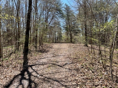 Property for sale near Dale Hollow Lake in Albany, KY - image 7