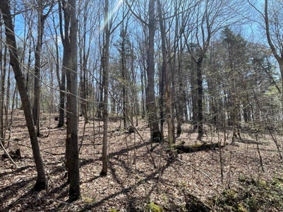 Property for sale near Dale Hollow Lake in Albany, KY - image 4