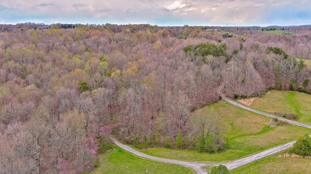 Property for sale near Dale Hollow Lake in Albany, KY - image 25