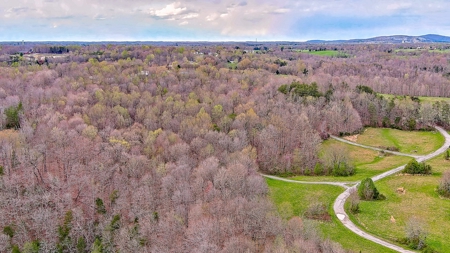 Property for sale near Dale Hollow Lake in Albany, KY - image 26