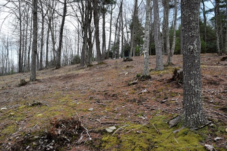 Beautiful Home for Sale in Riner VA! - image 47