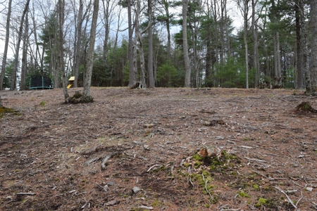 Beautiful Home for Sale in Riner VA! - image 46