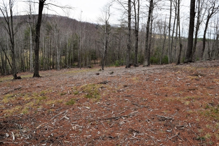 Beautiful Home for Sale in Riner VA! - image 44
