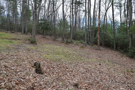 Beautiful Home for Sale in Riner VA! - image 48