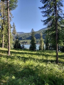 Clark For Riverfront Lot Sanders County Montana For Sale - image 5